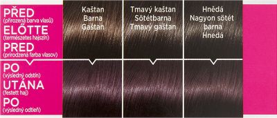 L ́Oréal Paris barva na vlasy Casting Crème Gloss 316 tmavá fialová