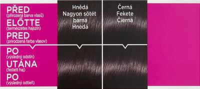 L ́Oréal Paris barva na vlasy Casting Crème Gloss 200 ebenová černá