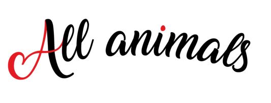 All animals
